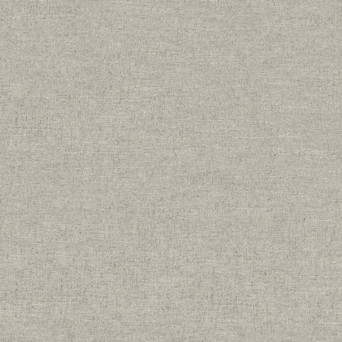 Chambray Fabric Weave