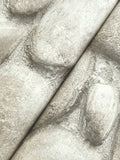Root Rock