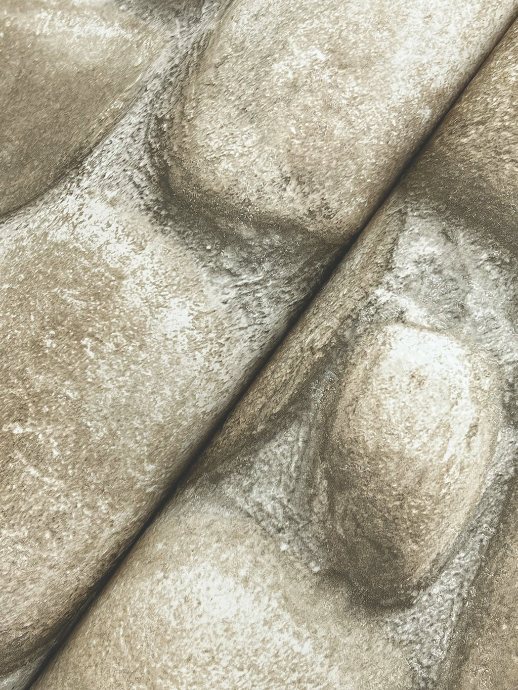 Root Rock