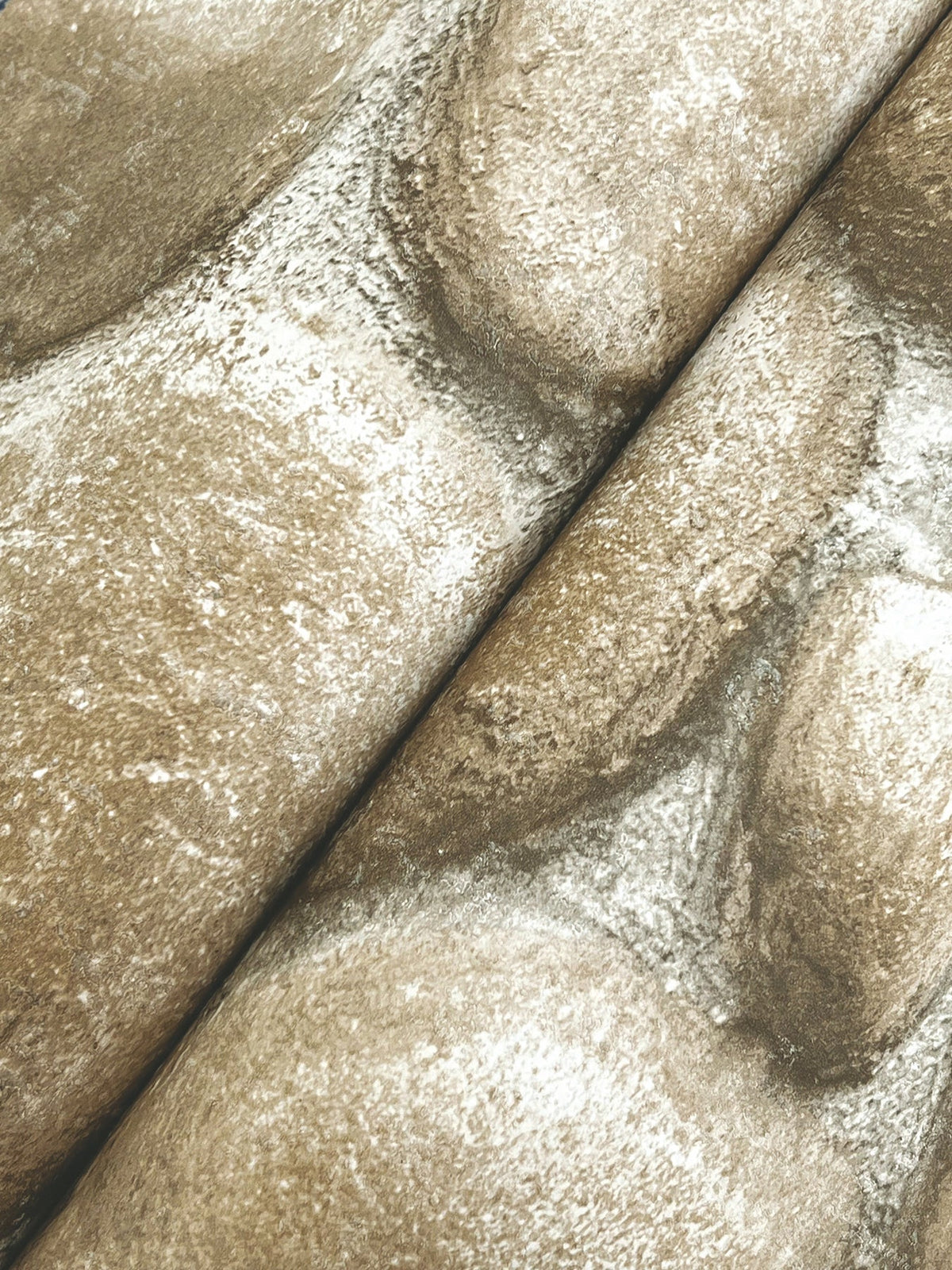 Root Rock