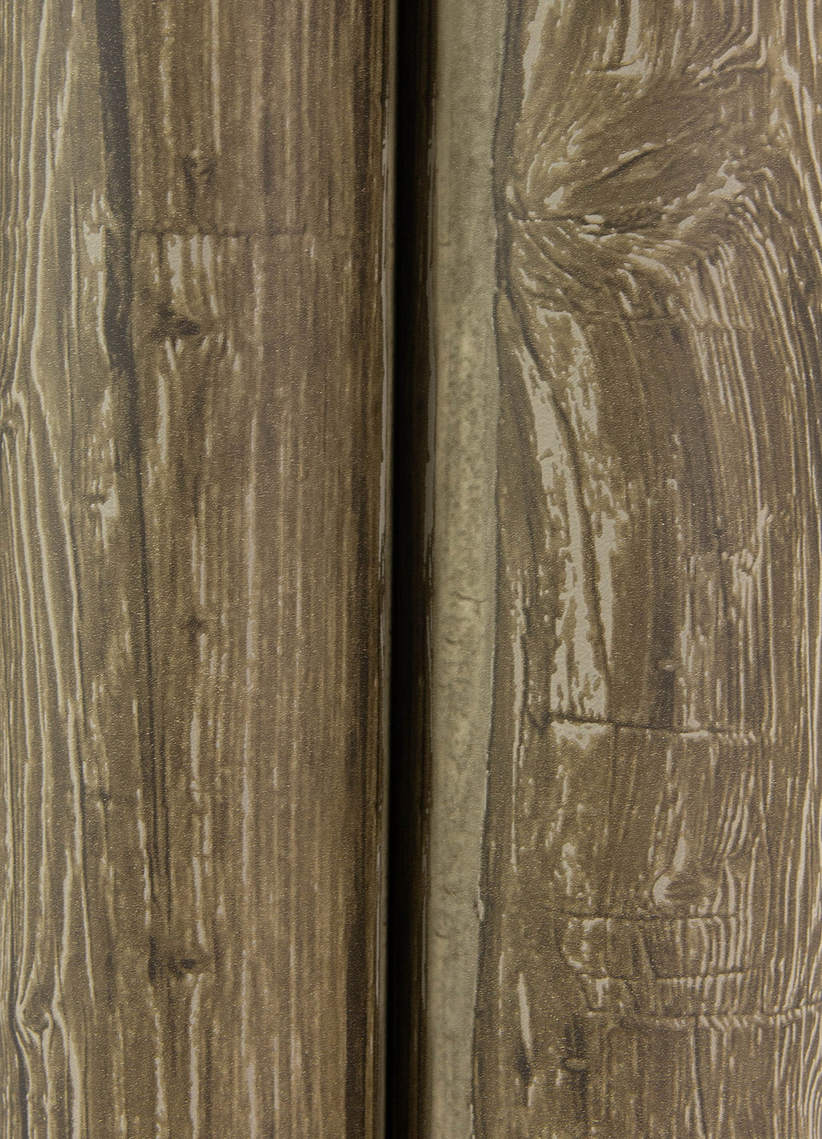 Lodgepole