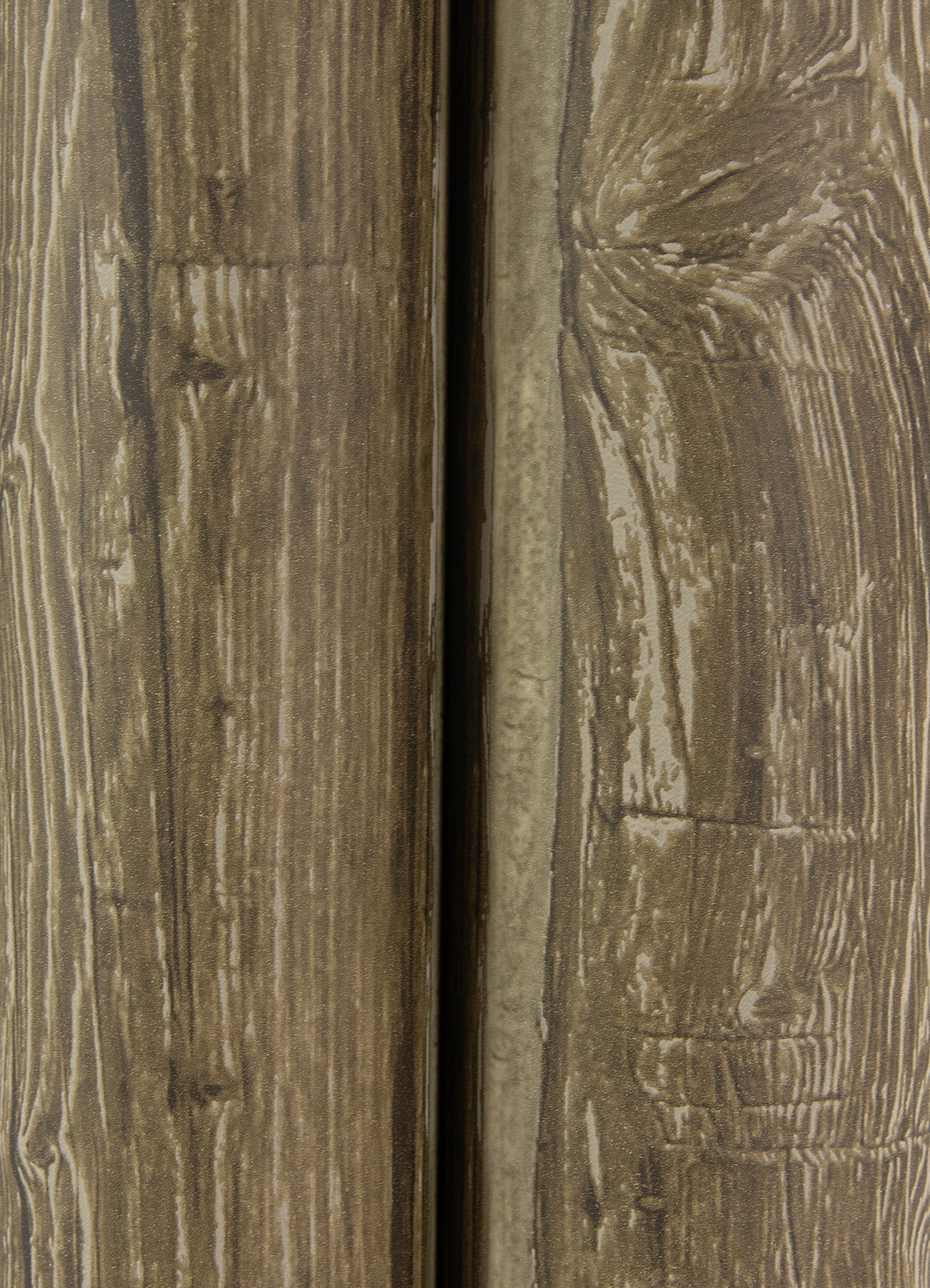 Lodgepole