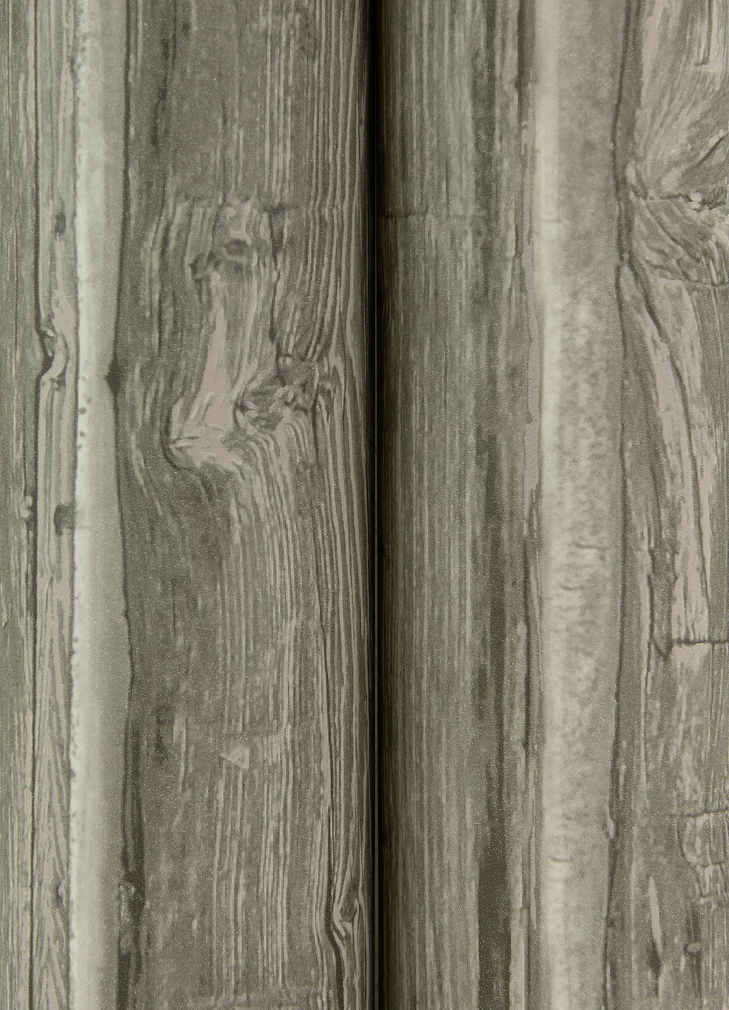 Lodgepole