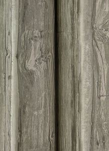 Lodgepole