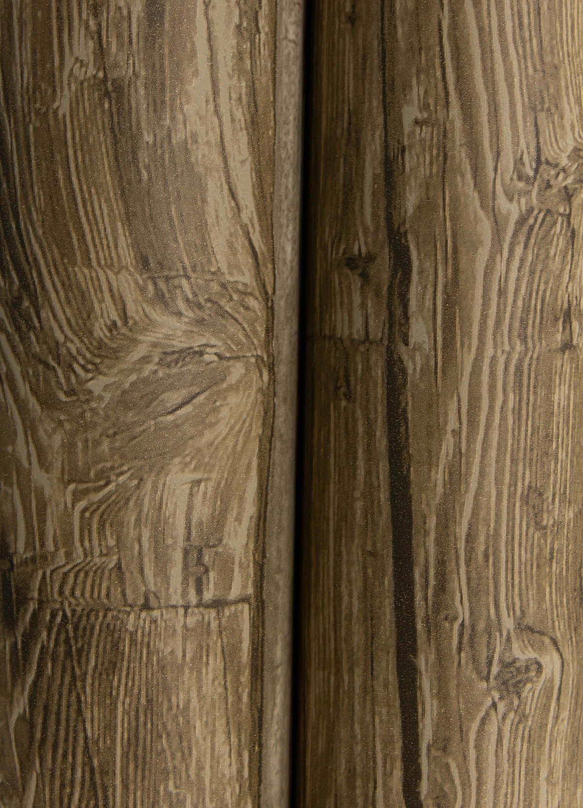 Lodgepole