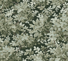 Load image into Gallery viewer, Greenwood