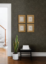 Load image into Gallery viewer, Chrysantha