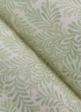 Load image into Gallery viewer, Chrysantha