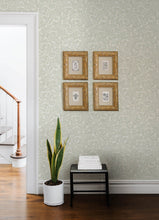 Load image into Gallery viewer, Chrysantha