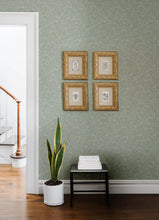 Load image into Gallery viewer, Chrysantha