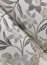 Load image into Gallery viewer, Passiflora