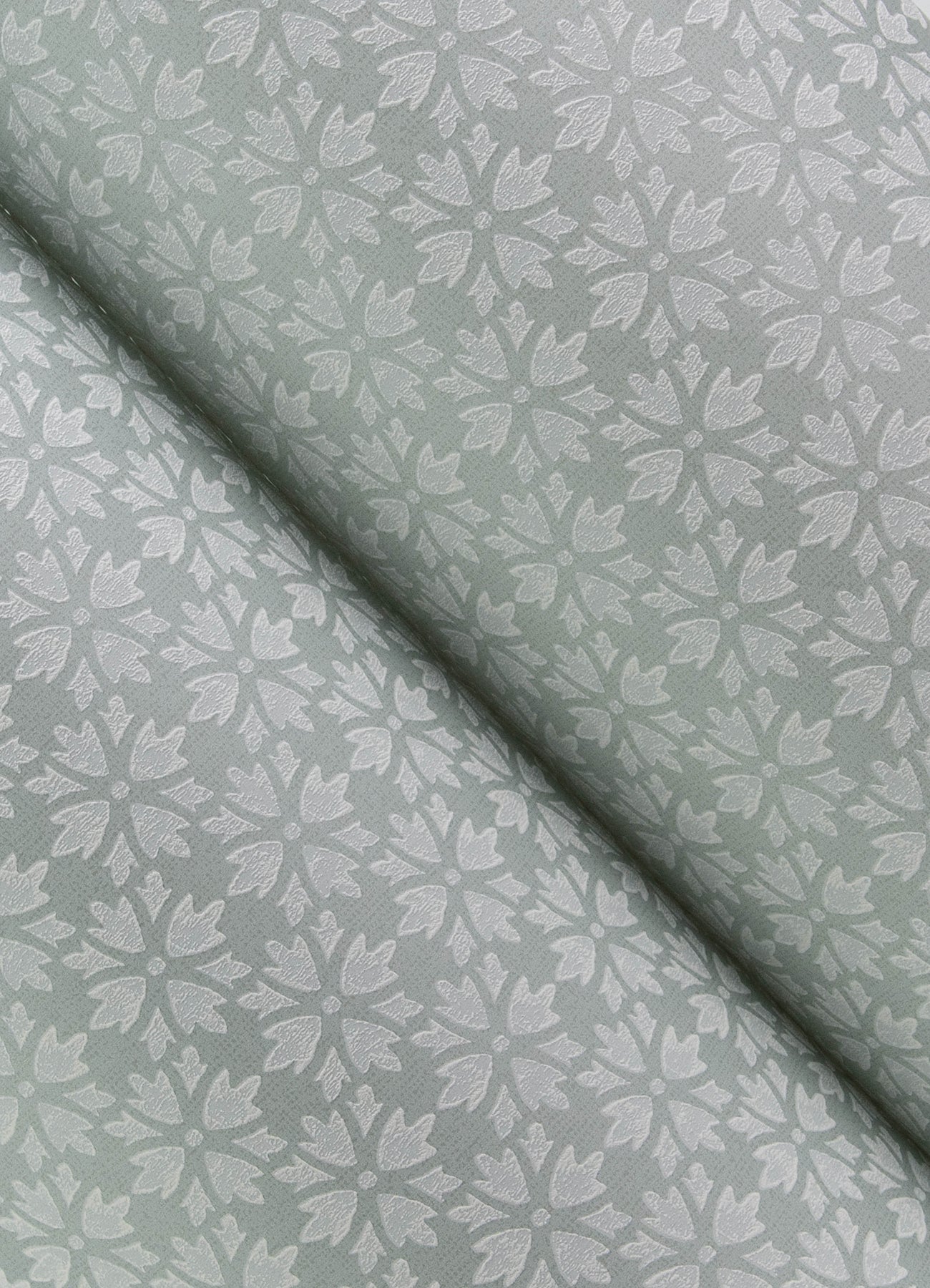 Phlox