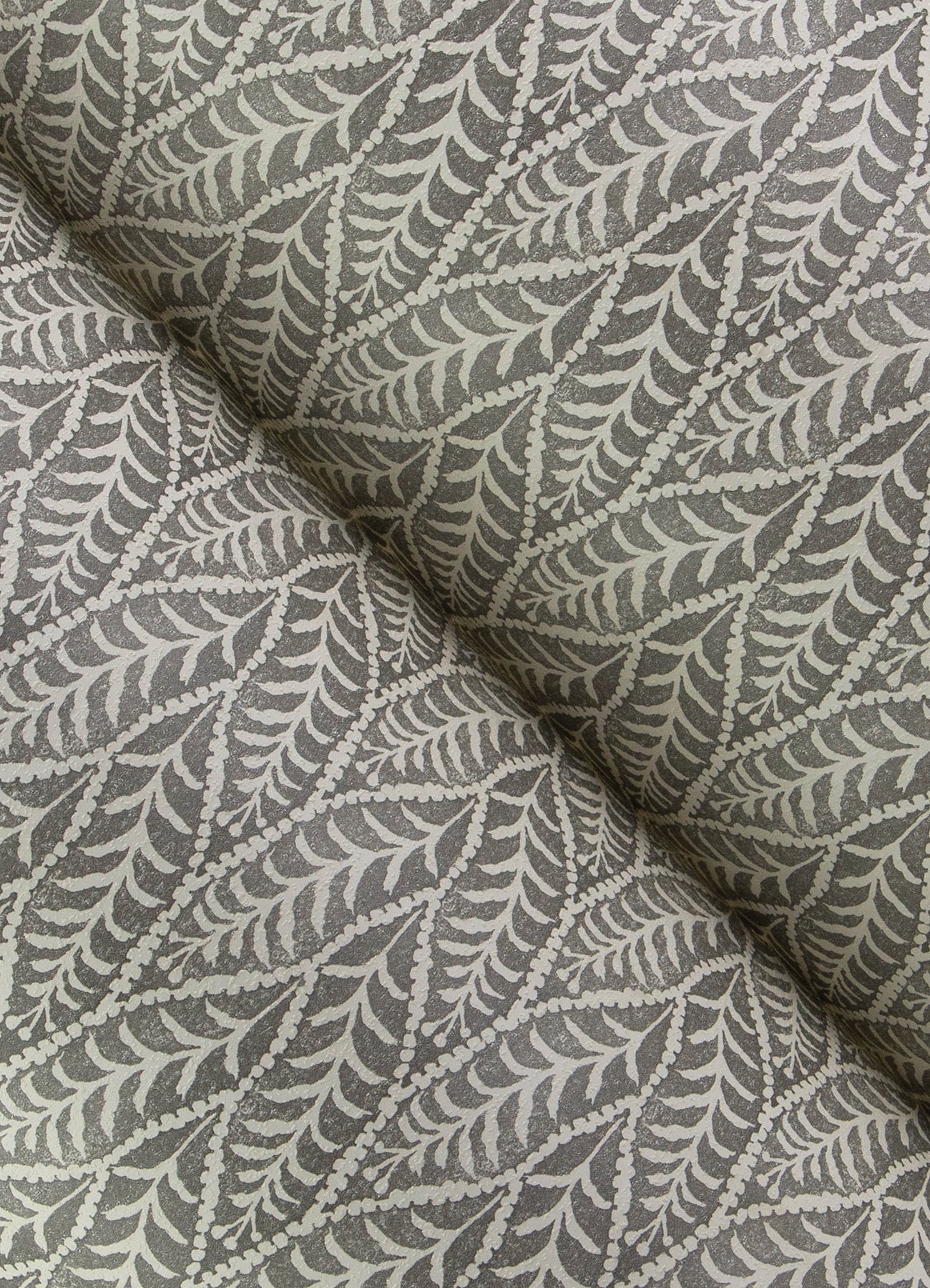 Coleus