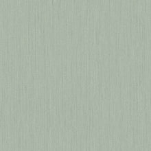 Load image into Gallery viewer, Midolin Mineral