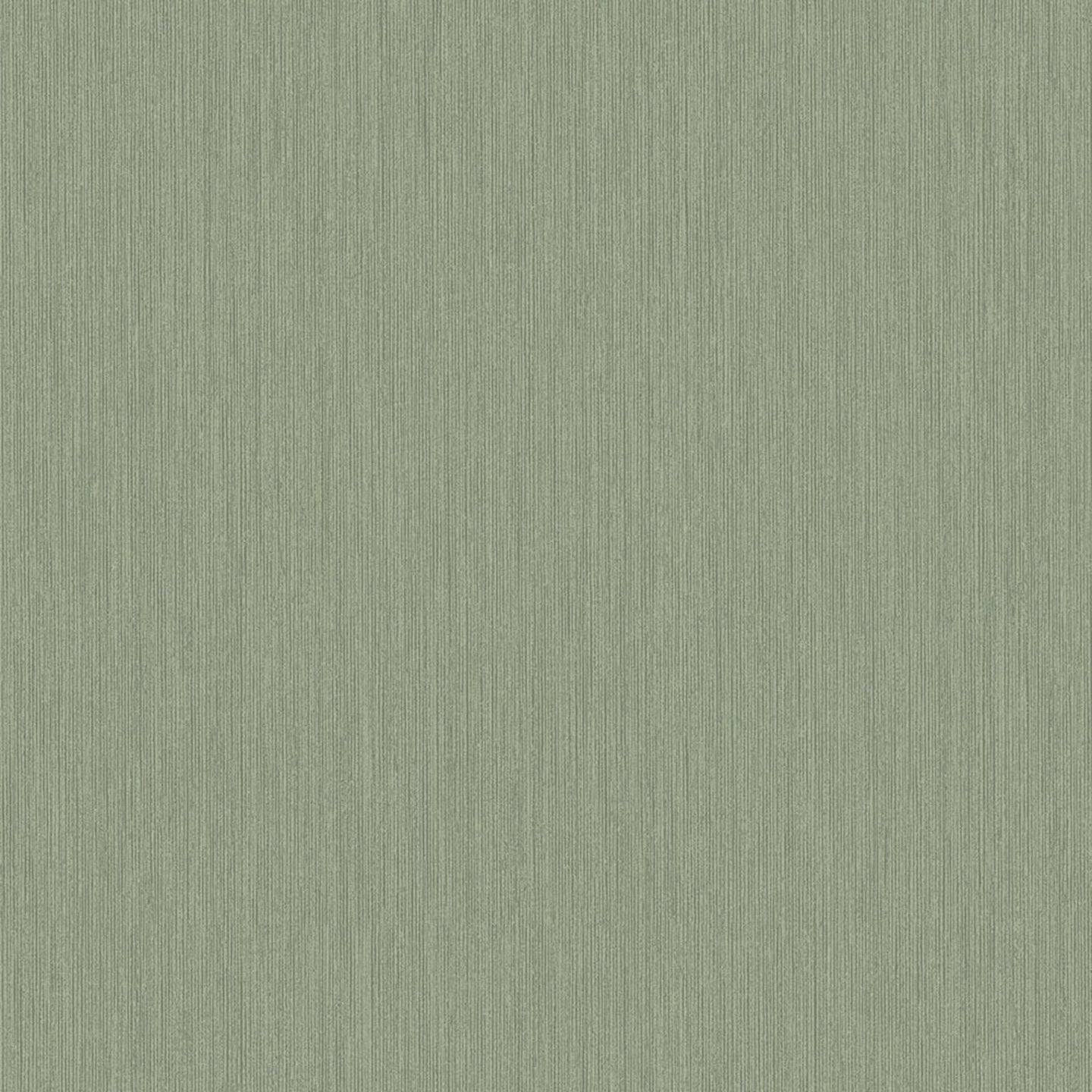 Midolin Oregano