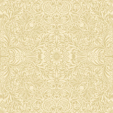Load image into Gallery viewer, Ceiling