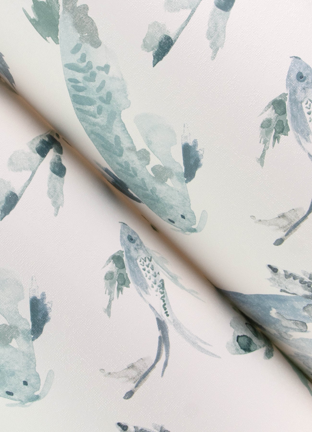 Koi