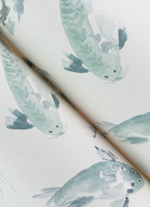 Koi
