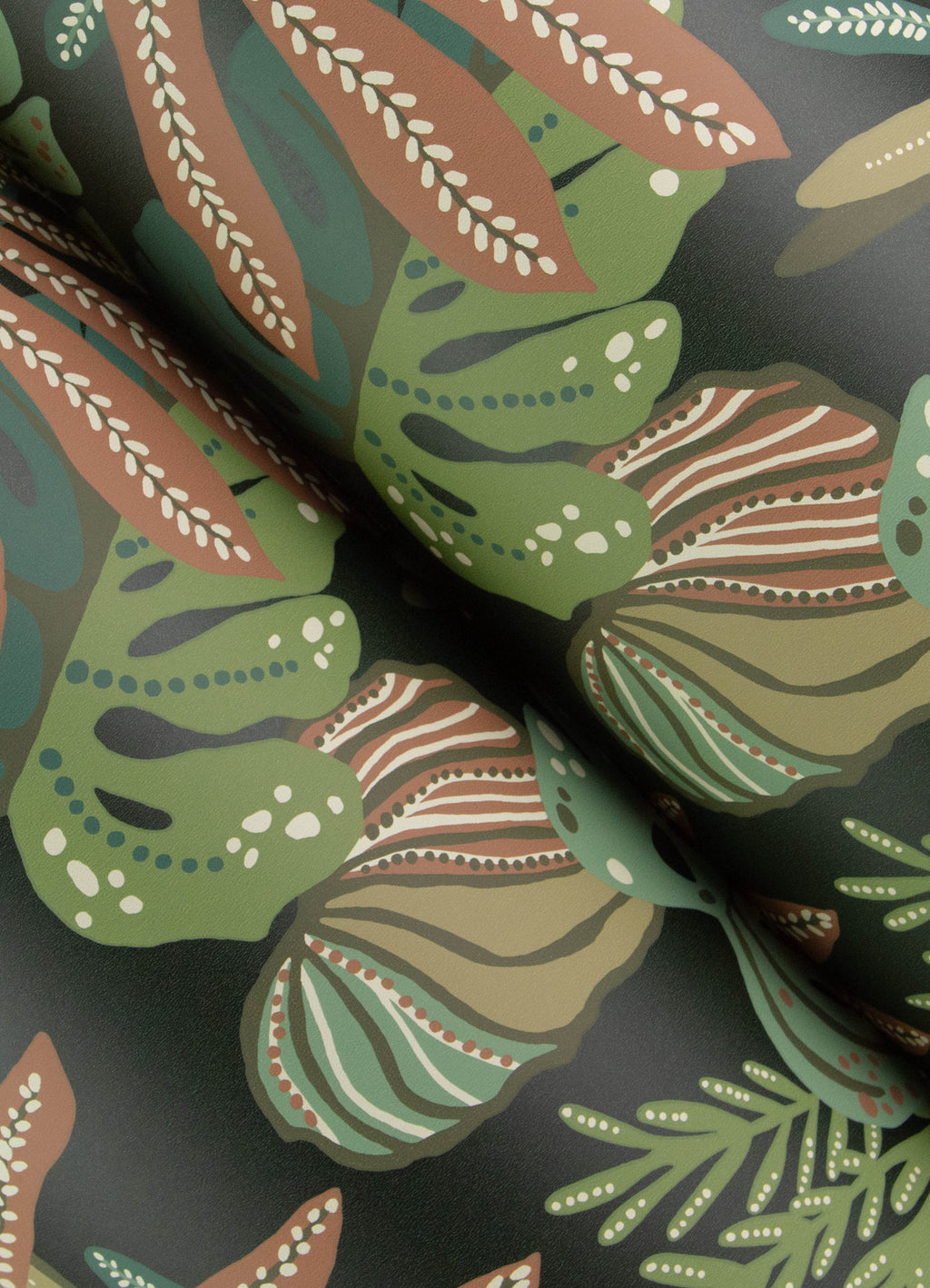 Alocasia