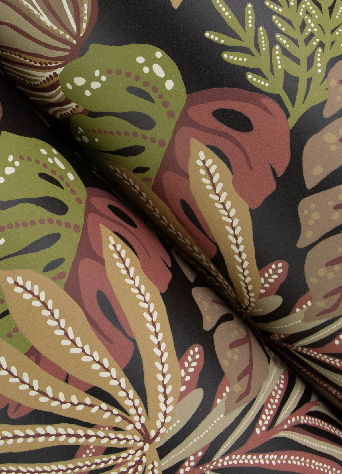 Alocasia