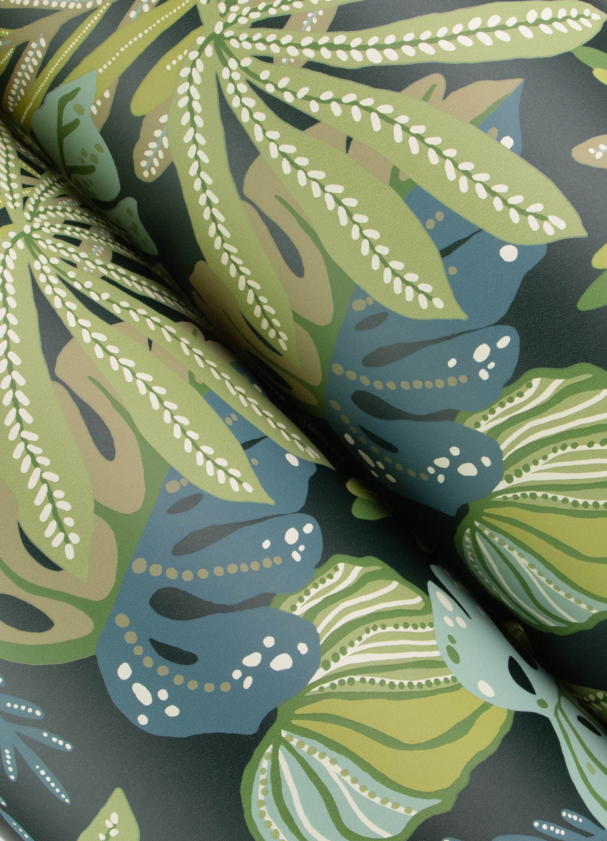 Alocasia