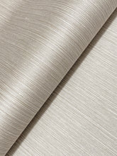 Load image into Gallery viewer, Atticus