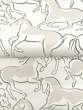 Load image into Gallery viewer, Dressage