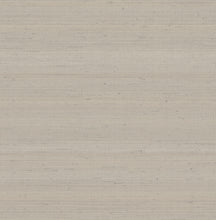 Load image into Gallery viewer, Fine Silk Wallpaper - Taupe wallpaper pattern