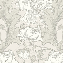 Load image into Gallery viewer, Siri Wallpaper - Grey