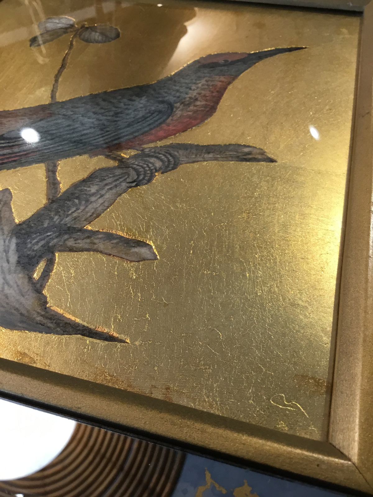set of early 20th century bird print with gold leaf -