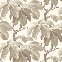 Load image into Gallery viewer, Kastanj Wallpaper