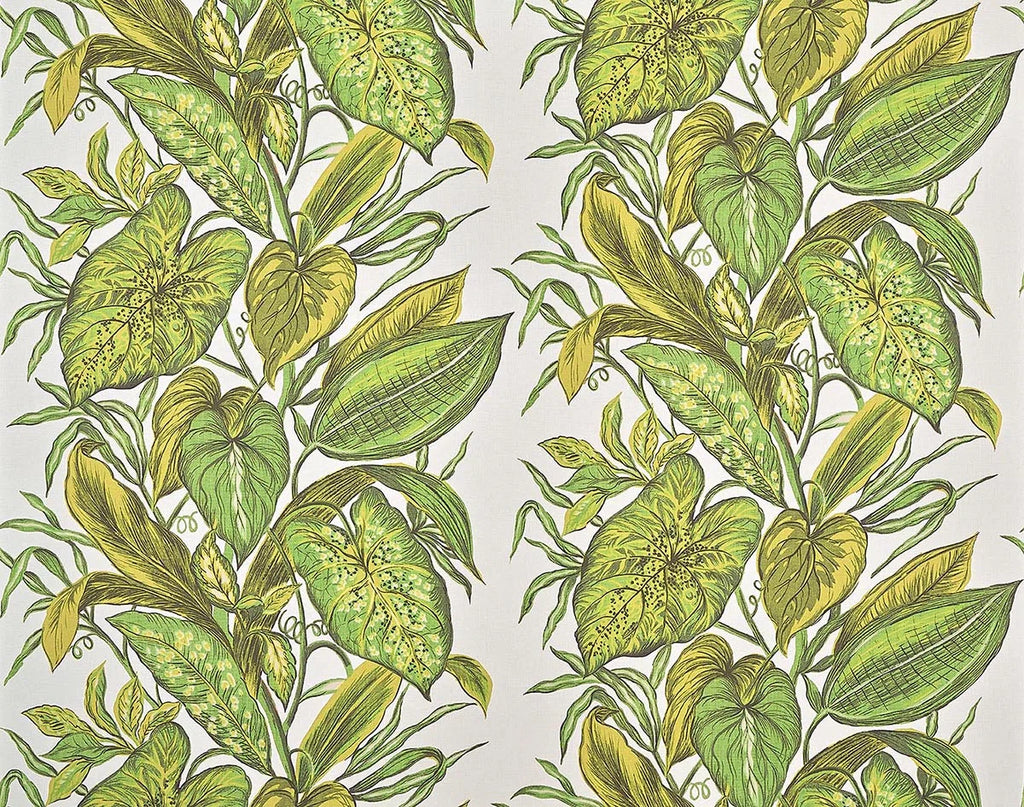Nassau wallpaper in JUNGLE