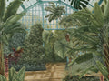 La serre wallpaper in Palmier