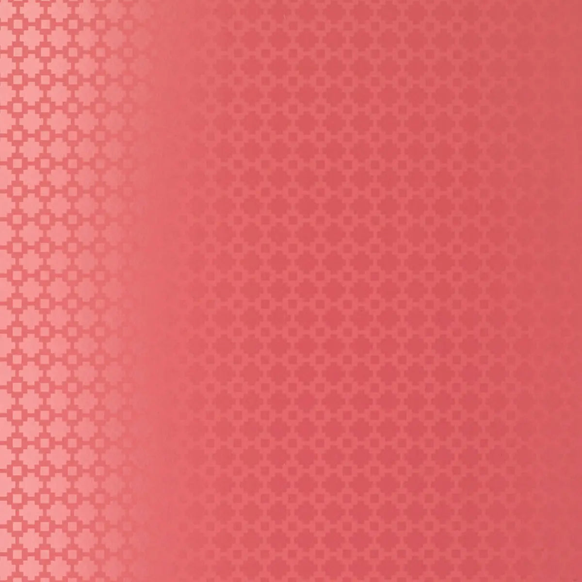 Shake It Up Wallpaper - Raspberry Gloss