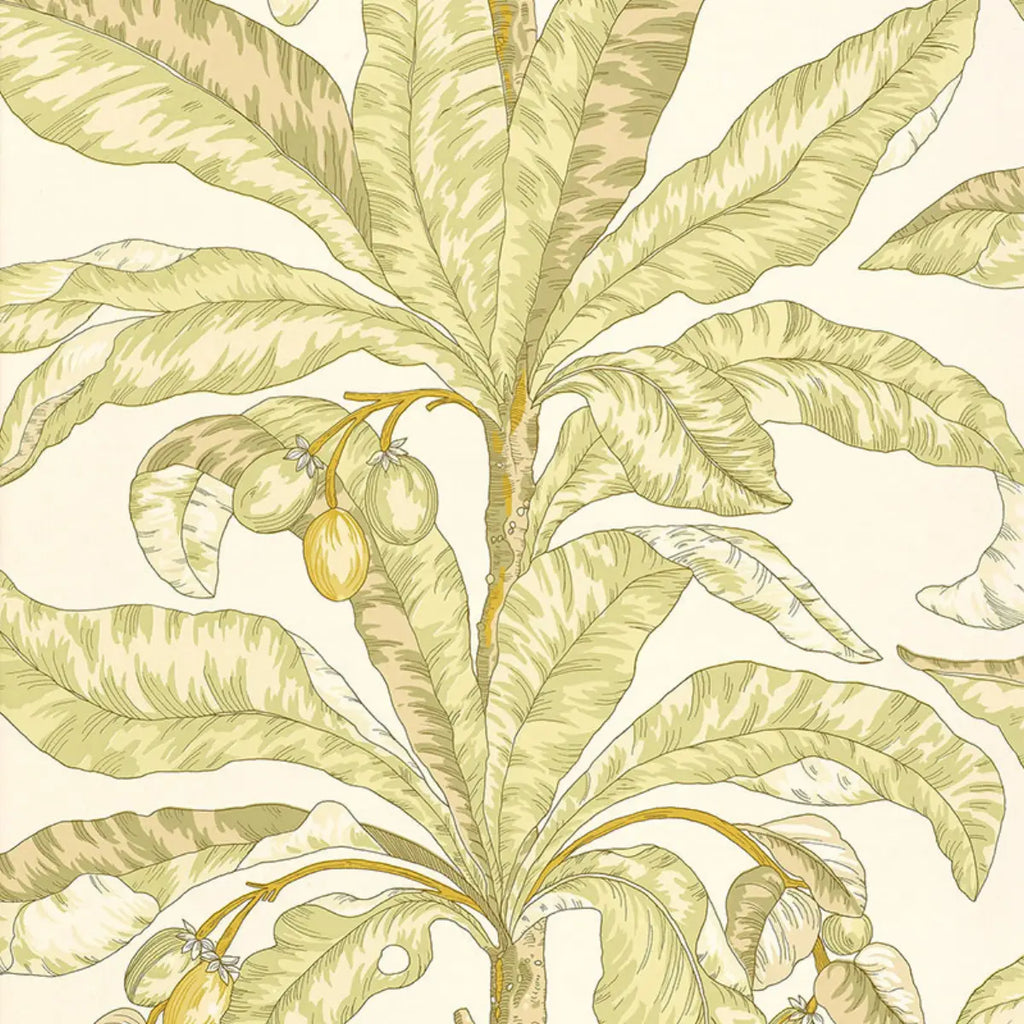 Blair House Palm Wallpaper - Kiwi