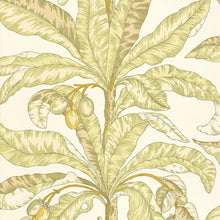 Load image into Gallery viewer, Blair House Palm Wallpaper - Kiwi