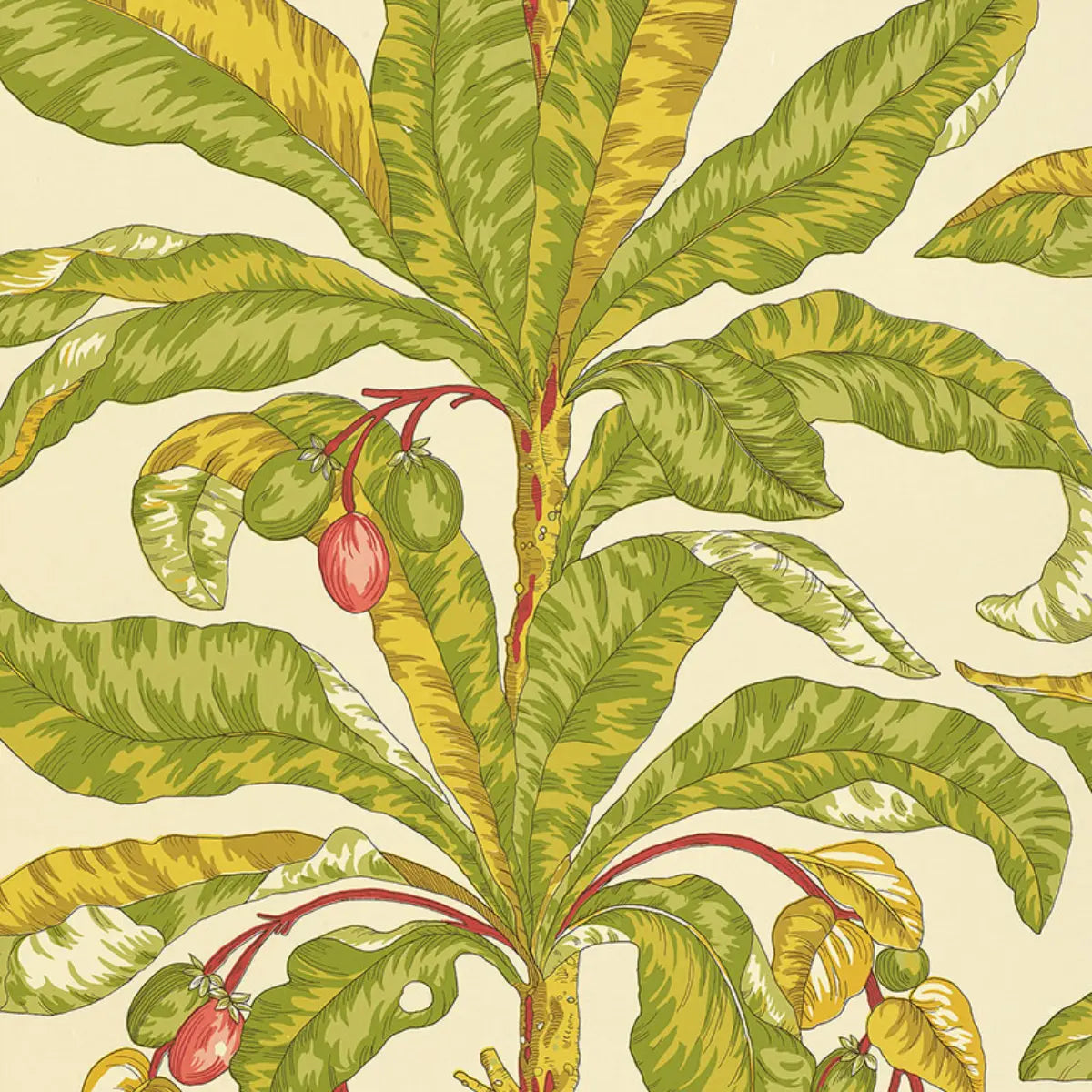 Blair House Palm Wallpaper - Tropical