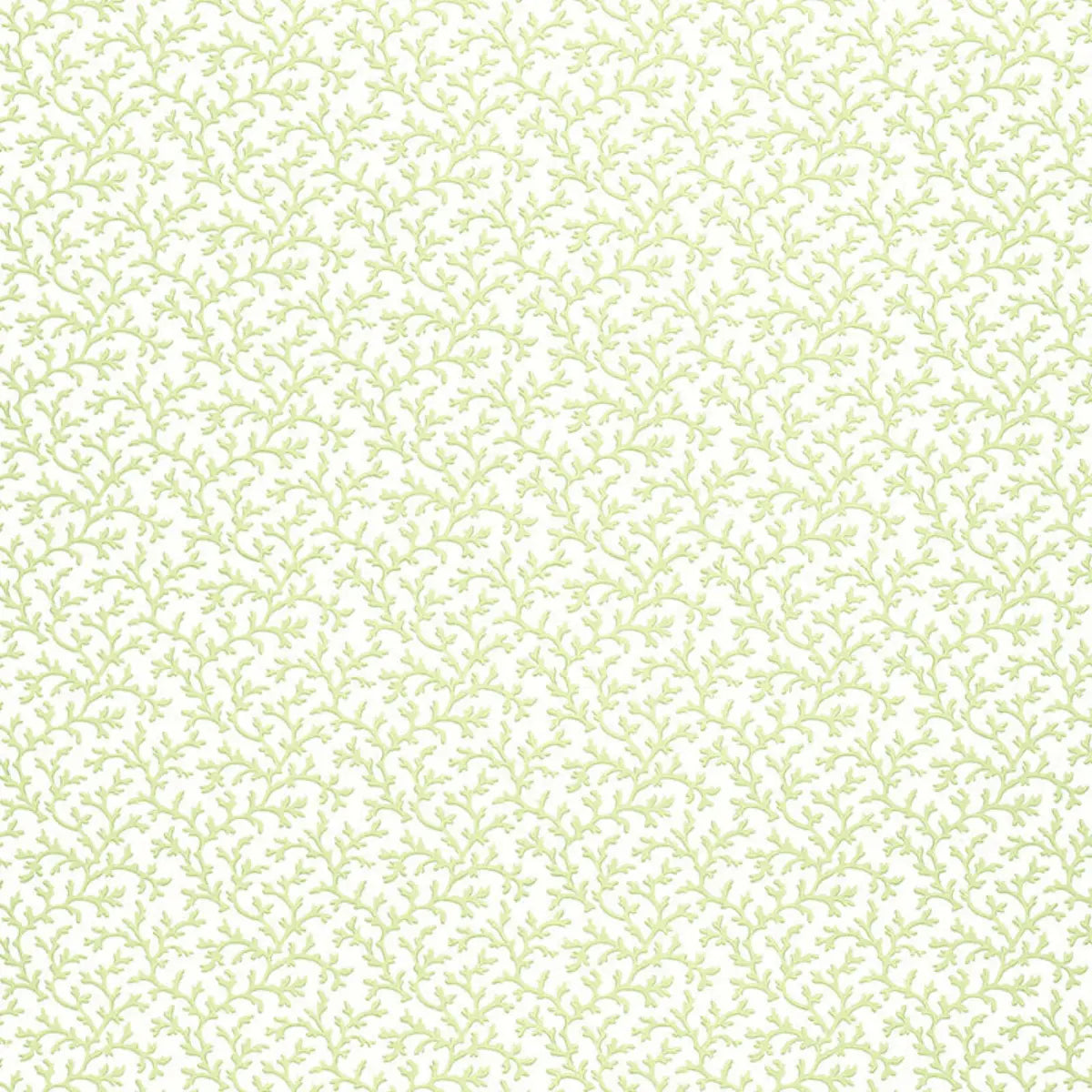 Coral Vine Wallpaper - Aloe