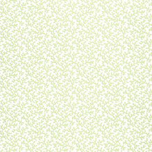Load image into Gallery viewer, Coral Vine Wallpaper - Aloe