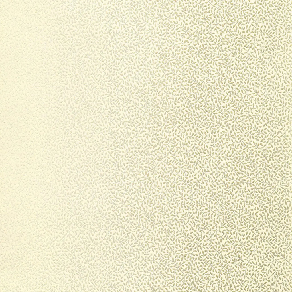 Celano Vine Wallpaper in an interior setting