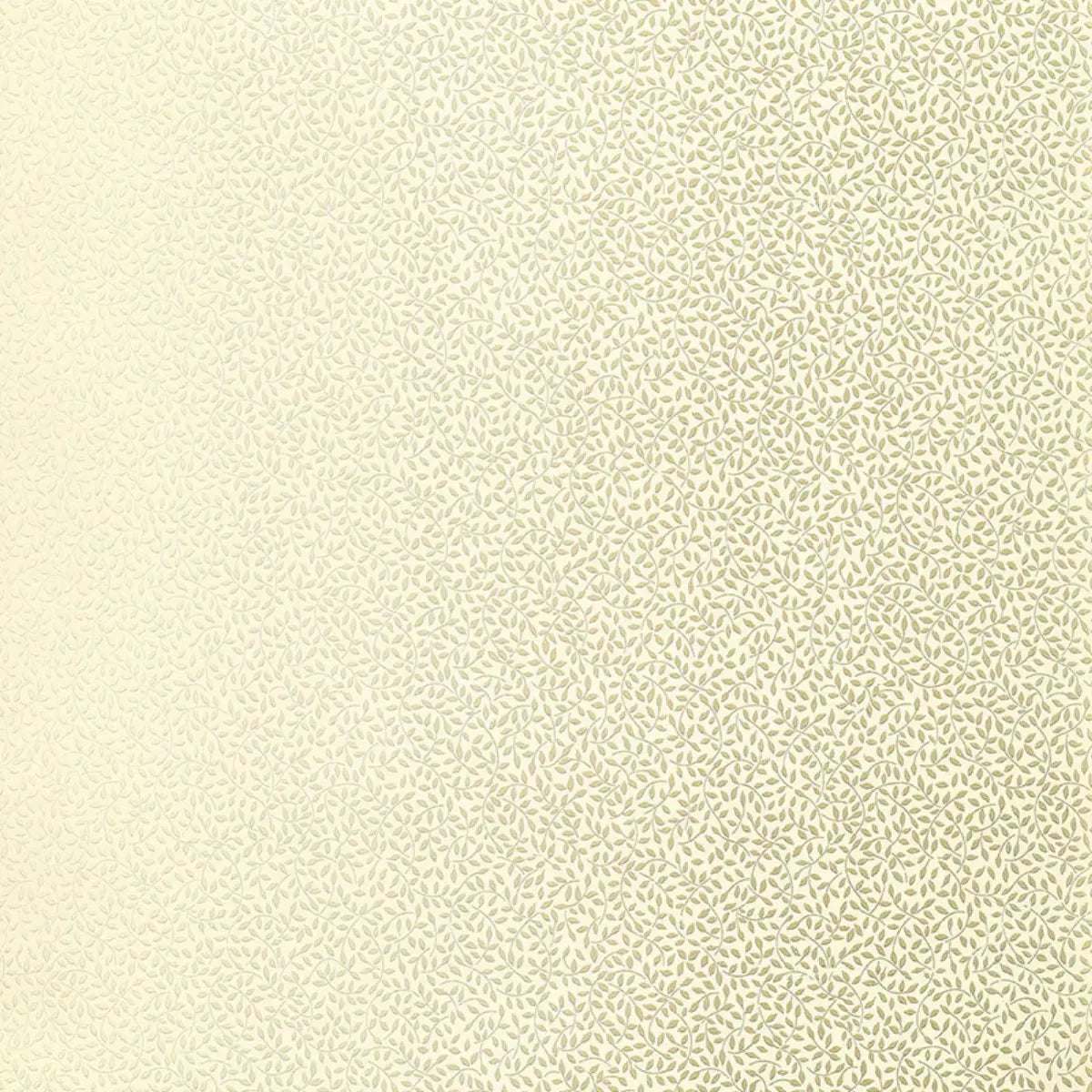 Celano Vine Wallpaper in an interior setting