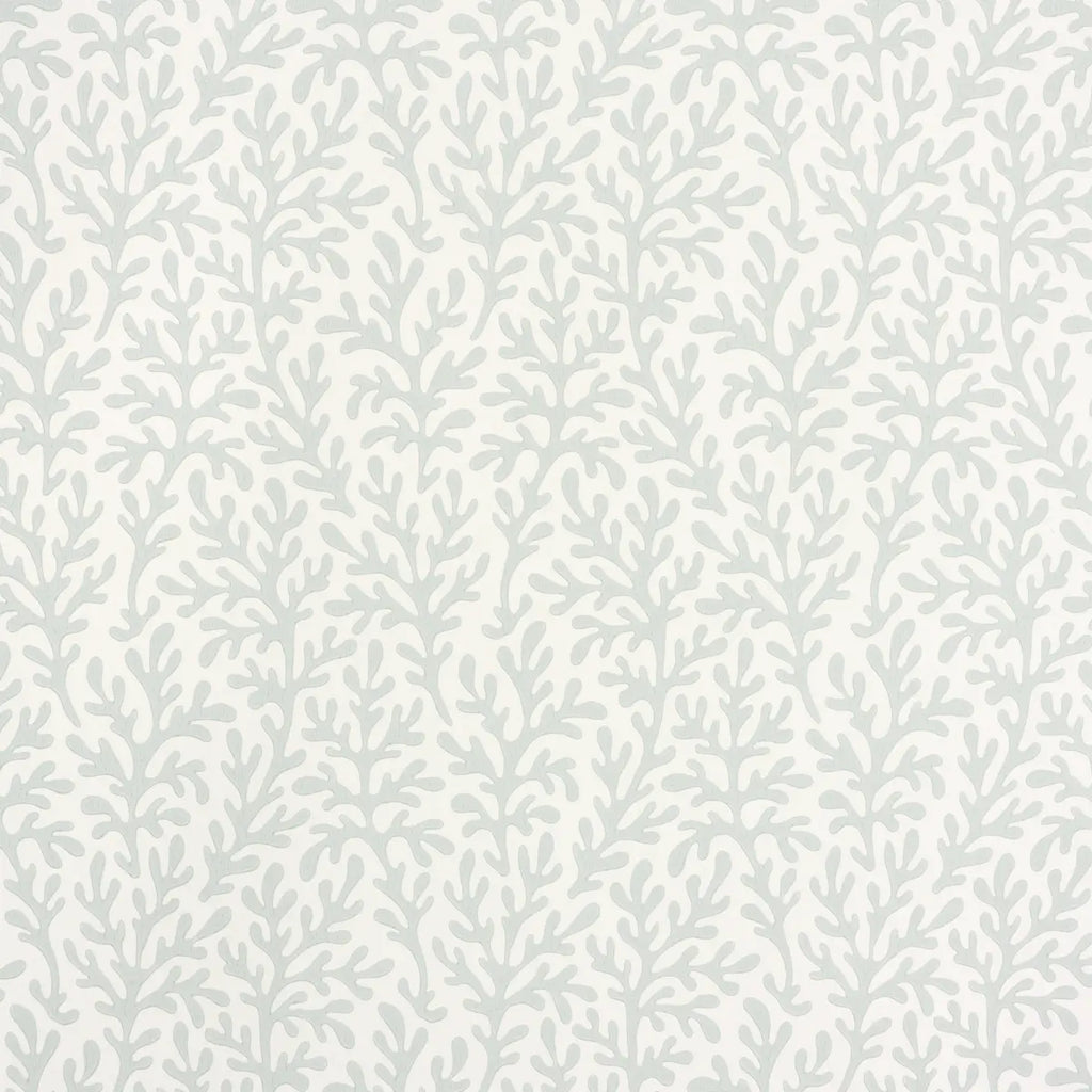 Sea Coral Wallpaper