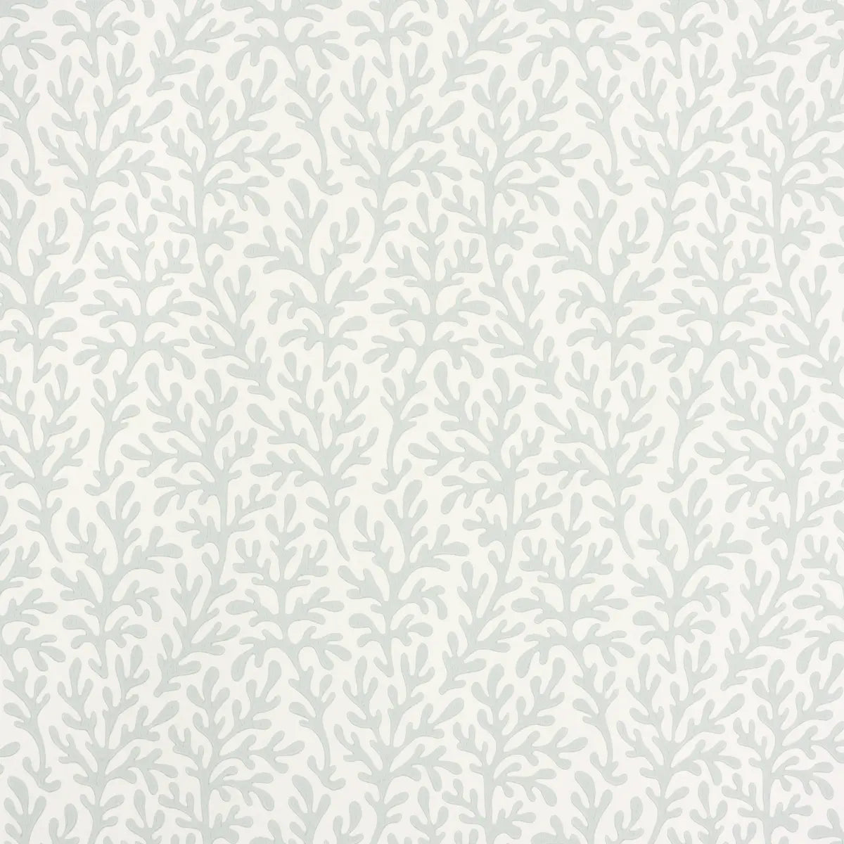 Sea Coral Wallpaper