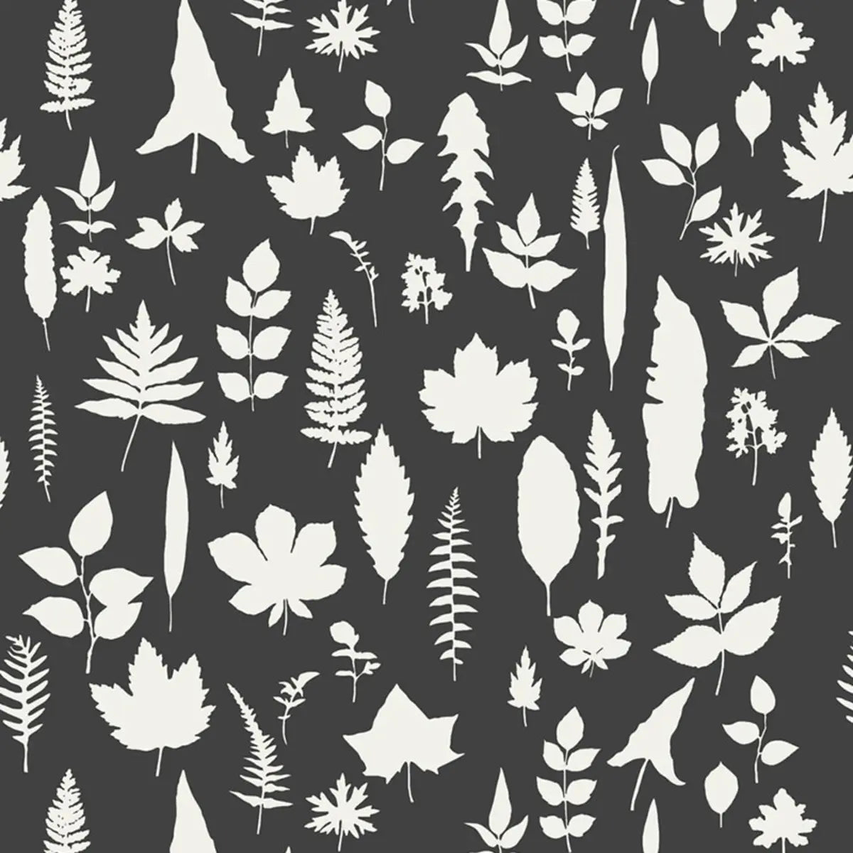 Leaves Wallpaper - Graphite