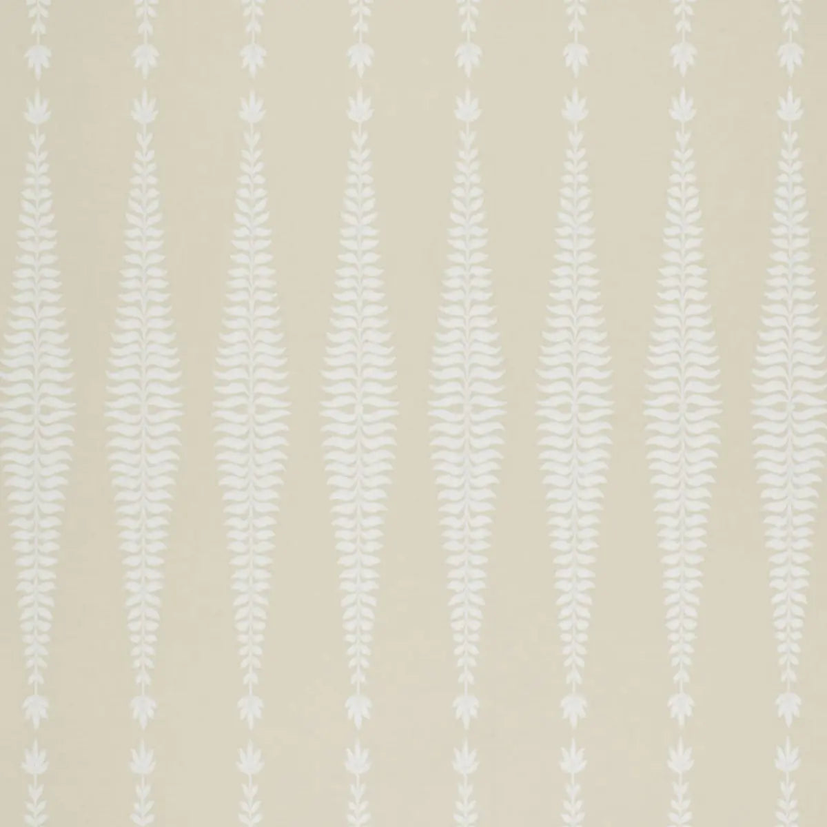 Fern Tree Wallpaper