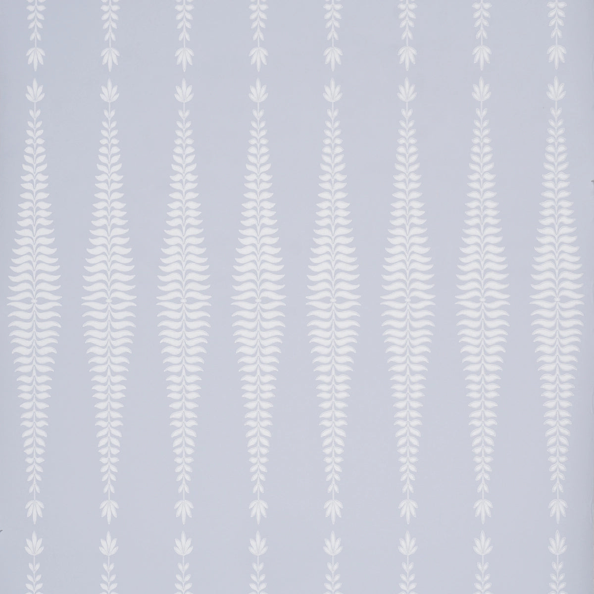Fern Tree Wallpaper - Cloud