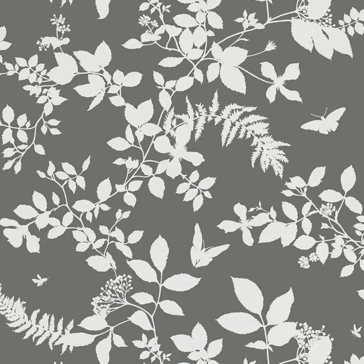 Shadow Vine Wallpaper - Charcoal