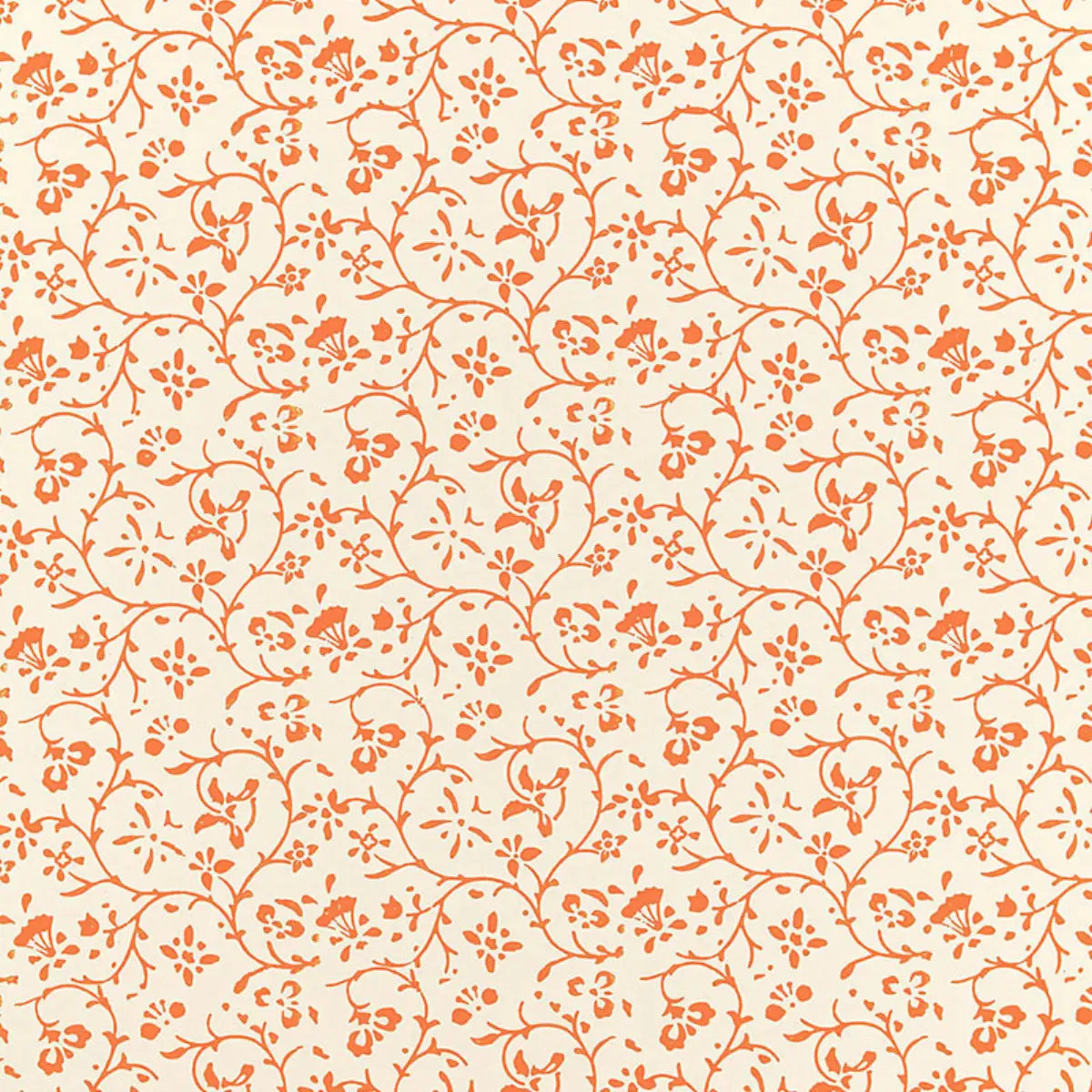 Kyara Vine Wallpaper - Valencia
