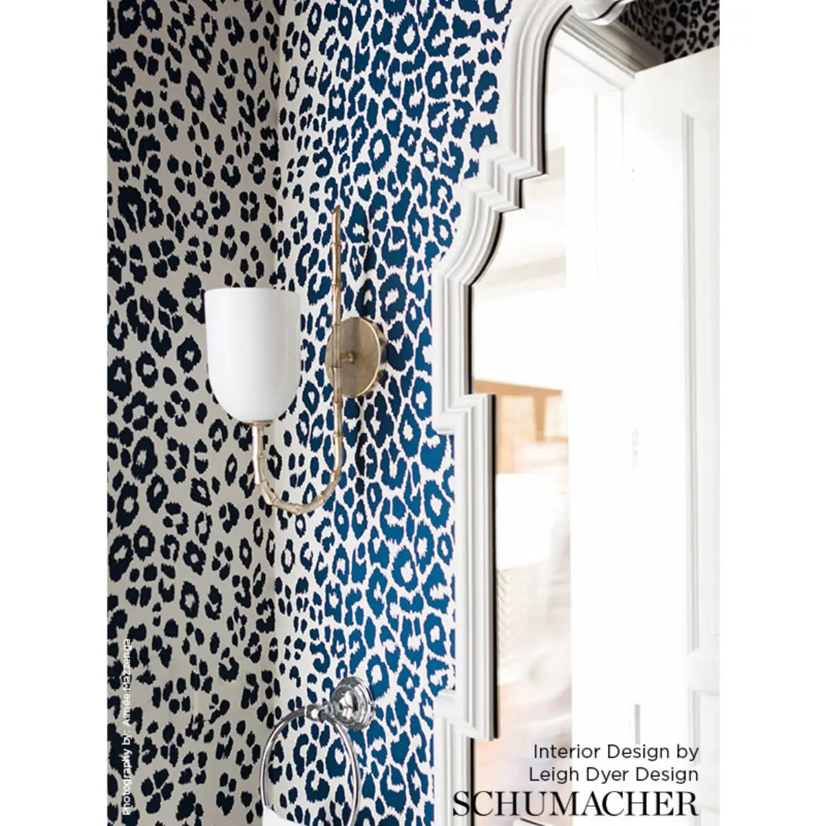 Iconic Leopard Wallpaper in an interior setting