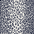 Iconic Leopard Wallpaper
